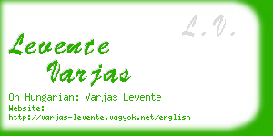 levente varjas business card